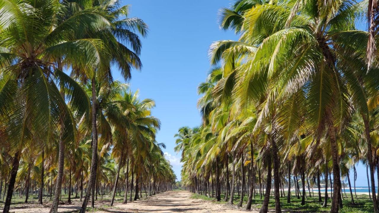 Solar Teixeira Residencial Apartment Porto de Galinhas Ngoại thất bức ảnh